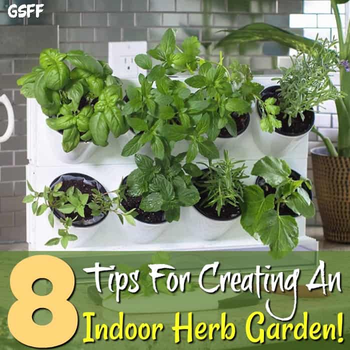 Creating An Indoor Herb Garden