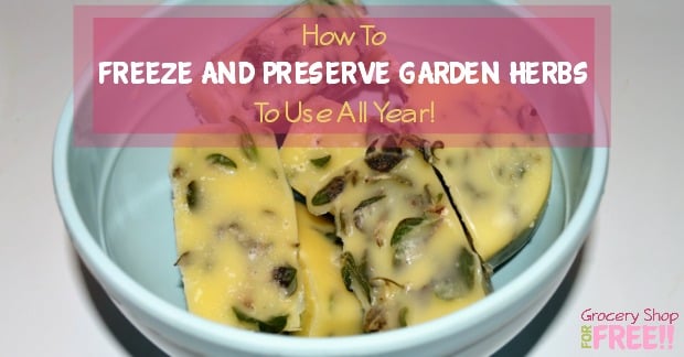 Need to know how to dry herbs or freeze and preserve them? Here's a delicious way to freeze and preserve your <a href=