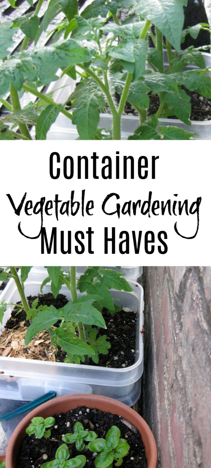 Container Vegetable Gardening Must Haves To Get Started NOW!