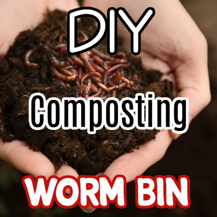DIY Vermicomposting With A Worm Bin (1)