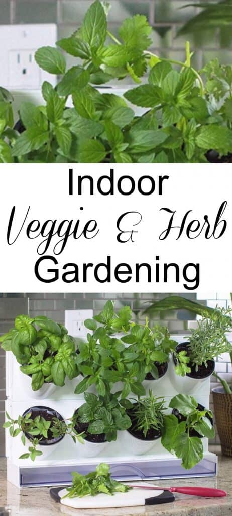 Want to grow vegetables & herbs, but, don't have the space? Check out these Indoor Gardening Ideas For Vegetables And Herbs! No Backyard, No Problem!