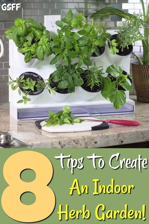 Want to learn more about how to grow herbs indoors? These tips on care, lighting & other secrets will make your indoor herb garden is happy, all year round.