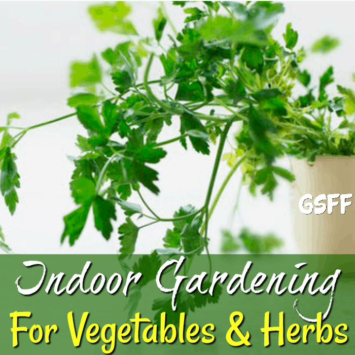 Want to grow vegetables & herbs, but, don't have the space? Check out these <a href=