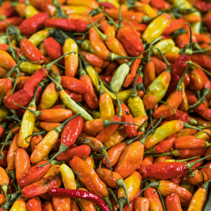 7 Homemade Plant Sprays For Your Outdoor Garden