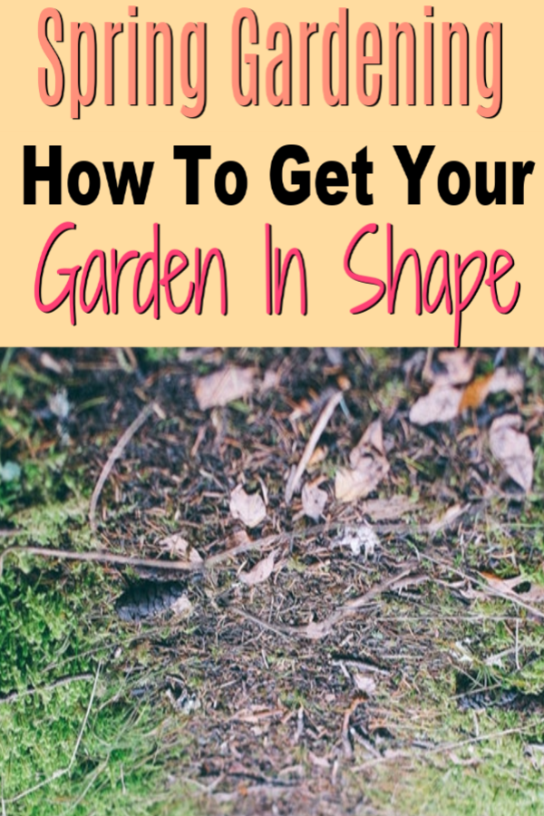 The thaw is HERE & it's time to start planning Spring Gardening tasks, tips, & tricks. What Spring Gardening Plants do you want to grow? Is your garden ready?