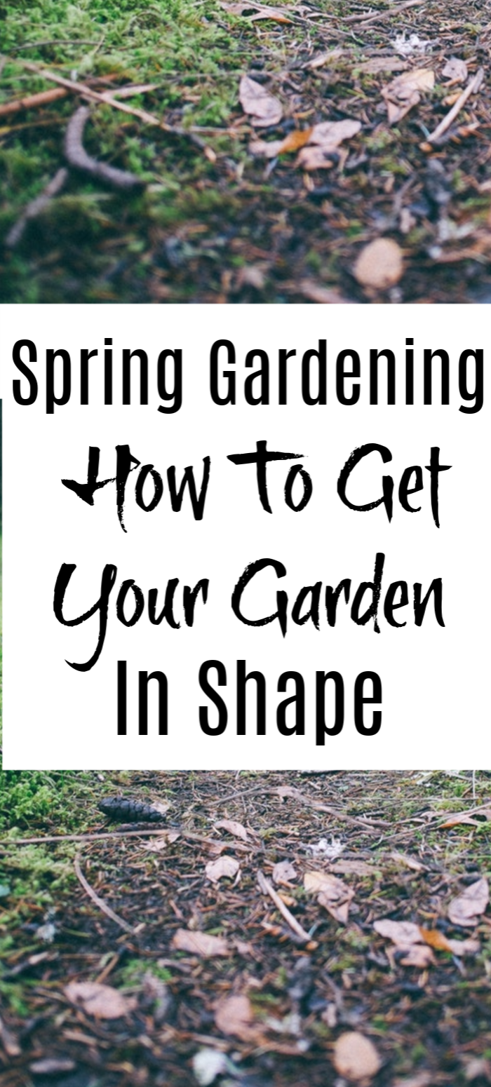 The thaw is HERE & it's time to start planning Spring Gardening tasks, tips, & tricks. What Spring Gardening Plants do you want to grow? Is your garden ready?