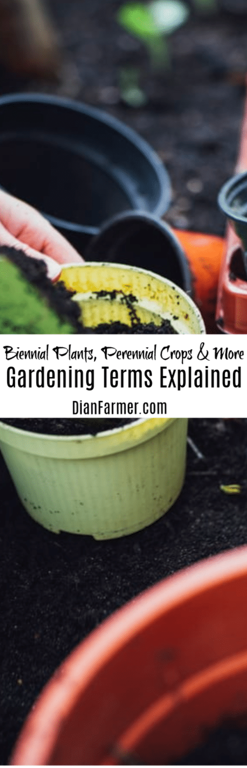 When you first begin gardening you are faced with terms you may not understand, such as Biennial Plants, Perennial Crops, and Annuals. Here we will explain each of those and more terms so you can get on with the fun of growing.