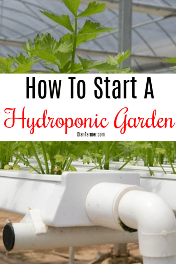 Hydroponics is an easy way to grow your own food. Gardening hydroponically is not as hard as you may think. Click through to find out how to start a hydroponic garden.