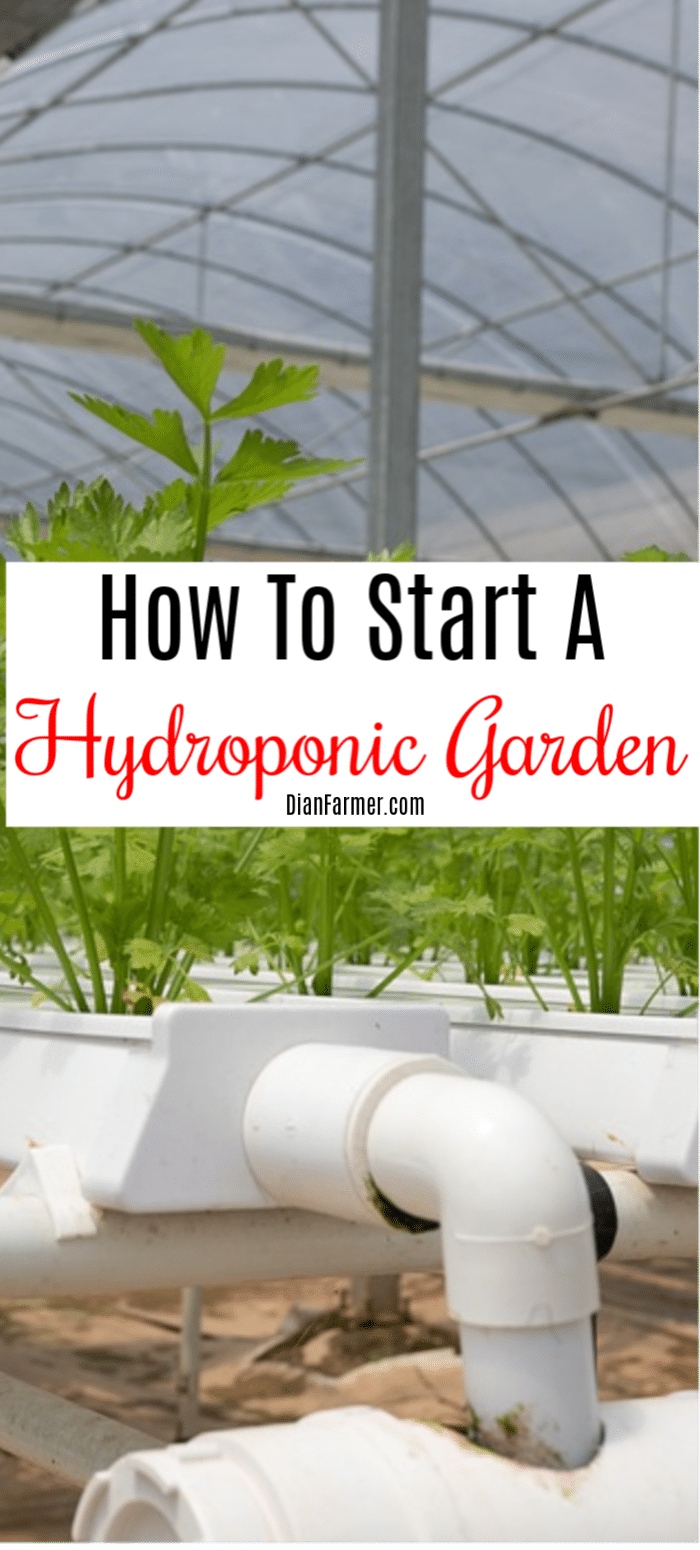 Hydroponics is an easy way to grow your own food. Gardening hydroponically is not as hard as you may think. Click through to find out how to start a hydroponic garden.
