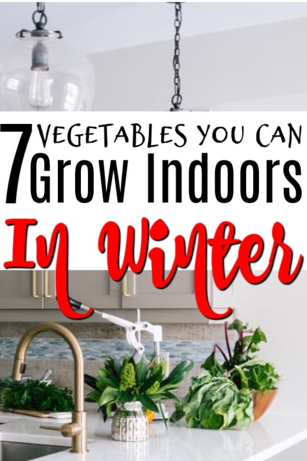 7 Vegetables You Can Grow Indoors In Winter