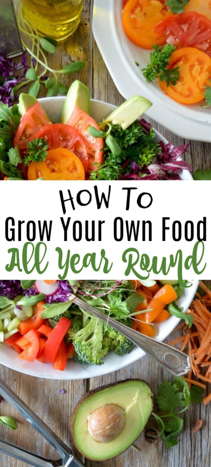 Want to grow your own food year round? You can! Harvest and eat straight from your own garden all year. Click through to find out how...