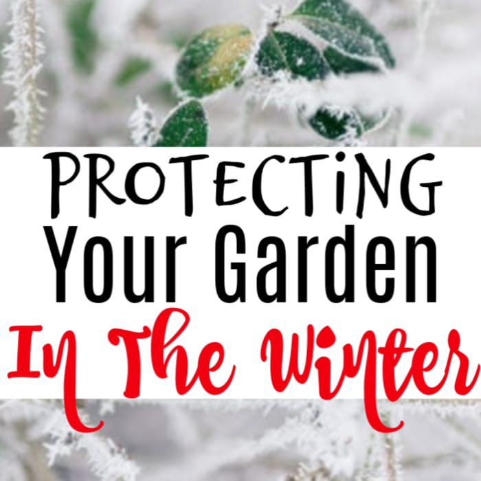 If you're looking for ways to protect your garden in the winter, these tools are definitely going to help. Click through to check it out, now...