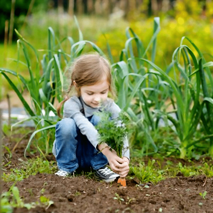 Best Plants To Grow With Kids Backyard Vegetable Gardener