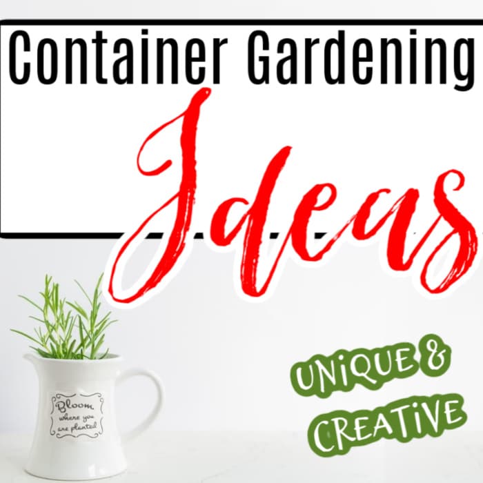 If you're looking for new & improved or just cute and fun ways to display the plants in your garden, these picks are for you! Click through NOW to see them...