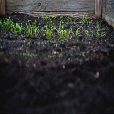 Soil & Mulch Calculator