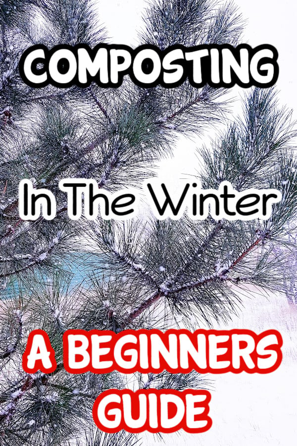 How to Start Composting in the Winter