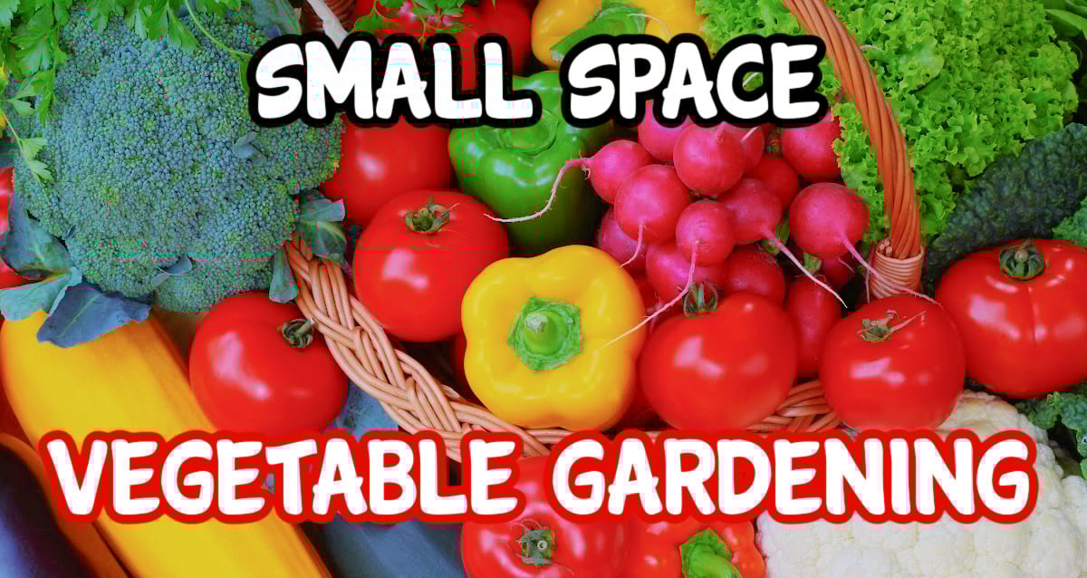 Small Space Vegetable Gardening – Backyard Vegetable Gardener