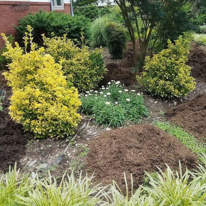 Ultimate Soil and Mulch Calculator Guide Backyard Vegetable Gardener