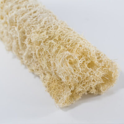 How To Grow Luffa From Seed To Harvest
