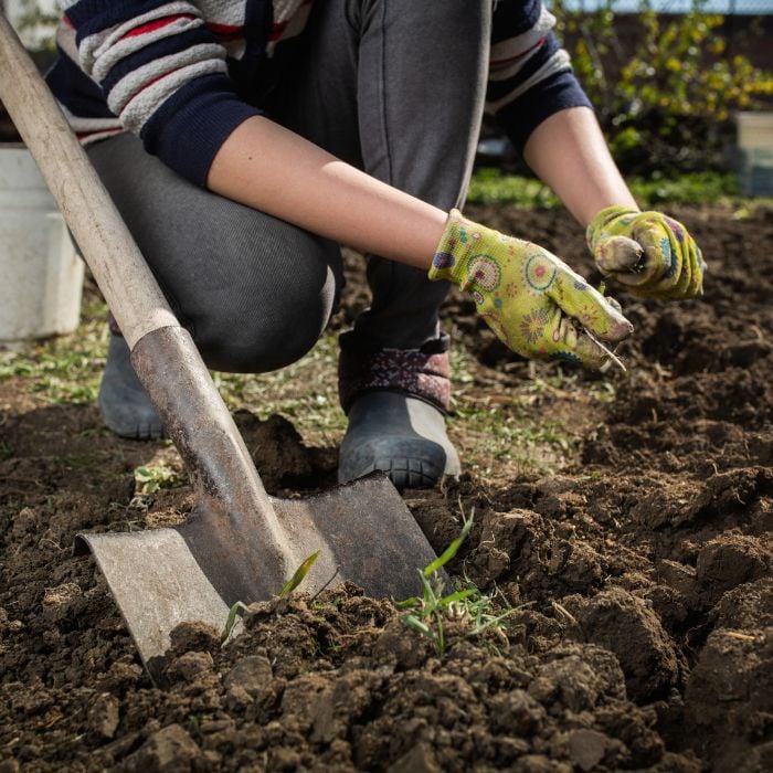 soil preparation